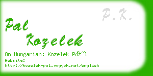 pal kozelek business card